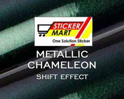 Sticker Metallic Chameleon (bunglon) Photo