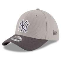Hat: MLB - New York Yankees Team Grayed 39THIRTY Photo